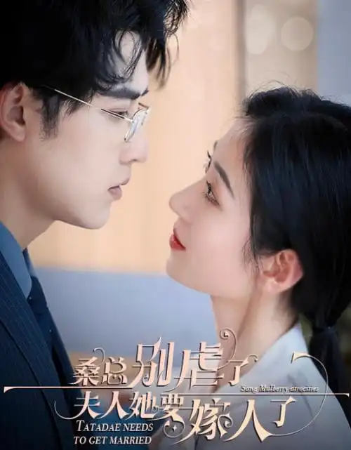 无声证词电视剧全集在线看